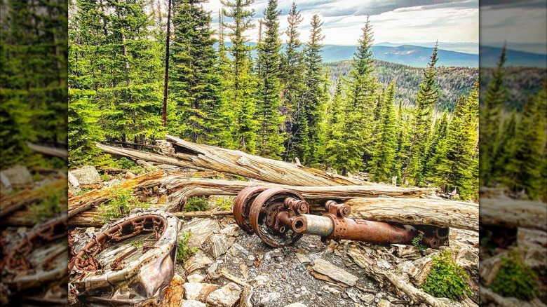 A wooden trail sign reads "Comanche Peak Wilderness" and "Roosevelt National Forest" near the Crown Point B-17 crash site, in Colorado.