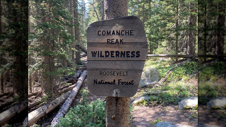 The wreckage of a rusted World War II bomber is surrounded by pines at the Crown Point B-17 crash site in the Comanche Peak Wilderness Area, Colorado.