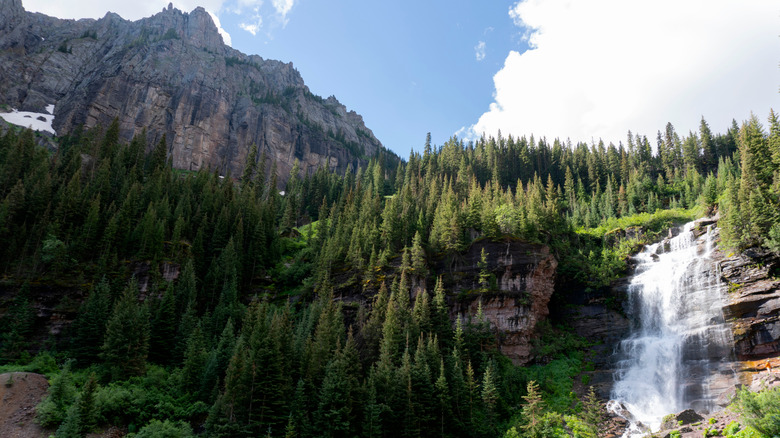 Bear Creek Falls, pine forests, Rocky Mountains