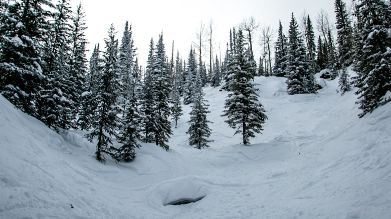 View of a ski run at Powderhorn