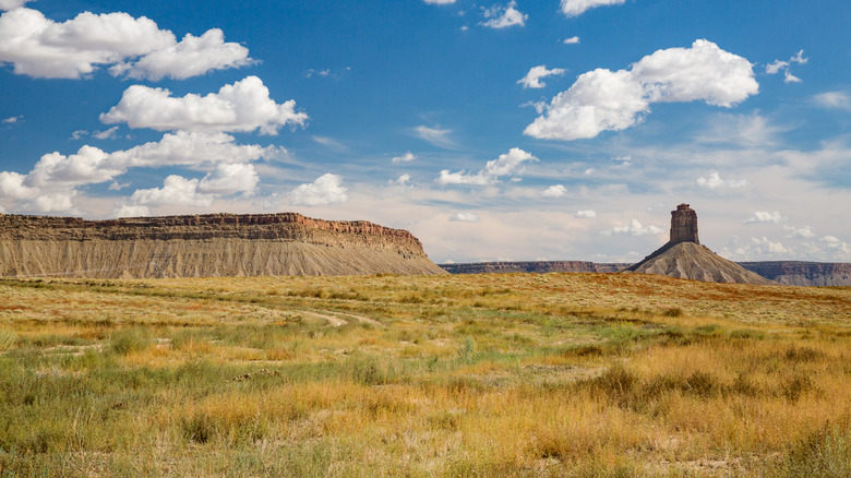Ute Mountain Tribal Park with Ute Mountain in the distance