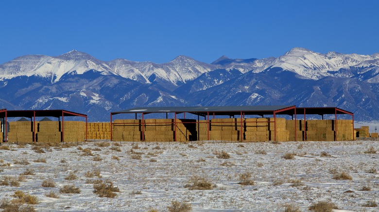 A view of the Sangre de Cristo Mountains