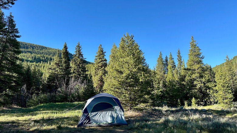 A tent at Camp Hale National Monument