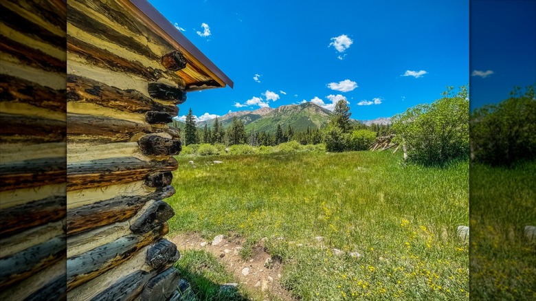 Cabin in Winfield, Colorado