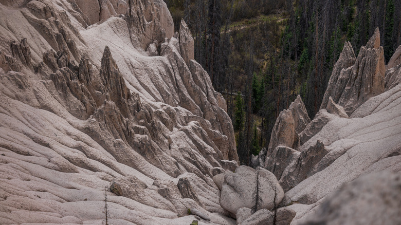 Wheeler Geologic Area from above, with trees in the background