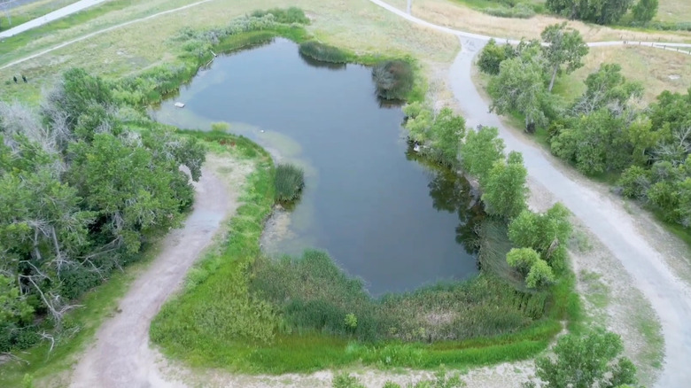 Aerial shot of the Jewell Wetlands park, near Aurora, Colorado.