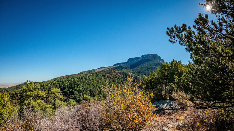 Fisher's Peak from the top of Osita Ridge, Fisher's Peak State Park, Trinidad, Colorado