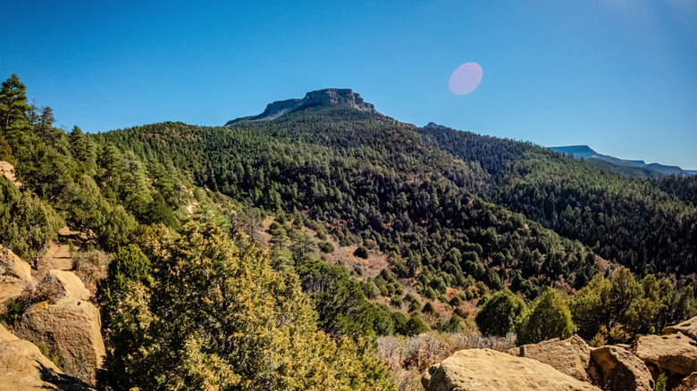 A view of Fisher's Peak from on top a large boulder, Fisher's Peak State Park, Trinidad, Colorado.
