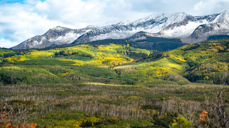 Snow-capped mountains rise above alpine vistas on the West Elk Loop of Colorado