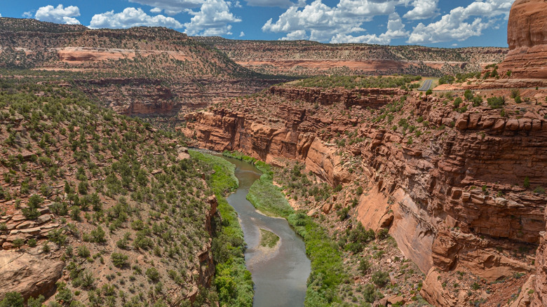 A river cuts through the Dolores River Canyon in Colorado