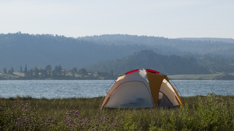 A tent sits by the water's edge in Eleven Mile State Park