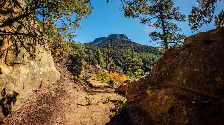 Fisher's Peak in view from trail inside state park