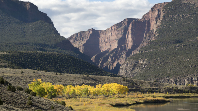 Autumn colors fill the canyon at the Gates of Lodore with the Green River in Dinosaur National Monument, Colorado