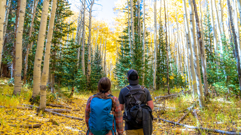 Hikers surrounded by fall trees