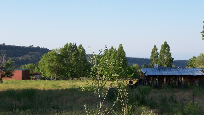 Field with farm and old farming structures with mountains and trees in the background during the day.