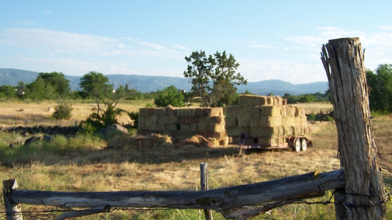 Close up of a fence in front of a pasture during the day with hay bales, trees, and mountains in the background.