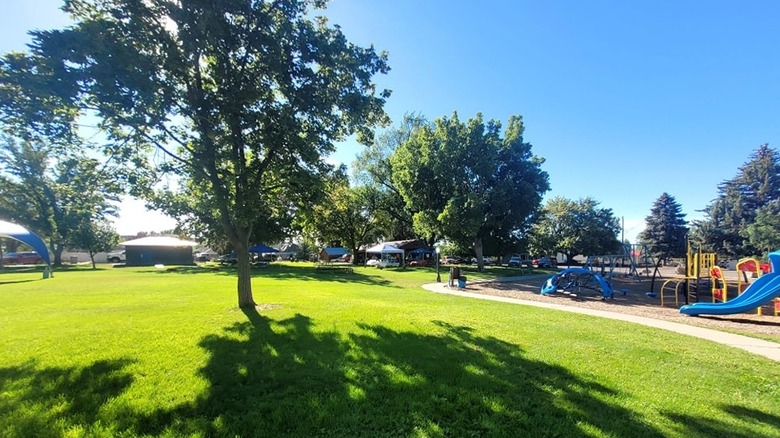 Cedaredge Town Park in Cedaredge, Colorado with trees, a playground and tent-structures in the background during the day.