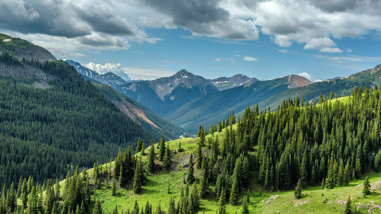 The San Juan National Forest in Colorado with mountains and greenery