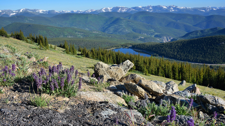 a view point with vistas of Echo Lake and Colorado Rockies