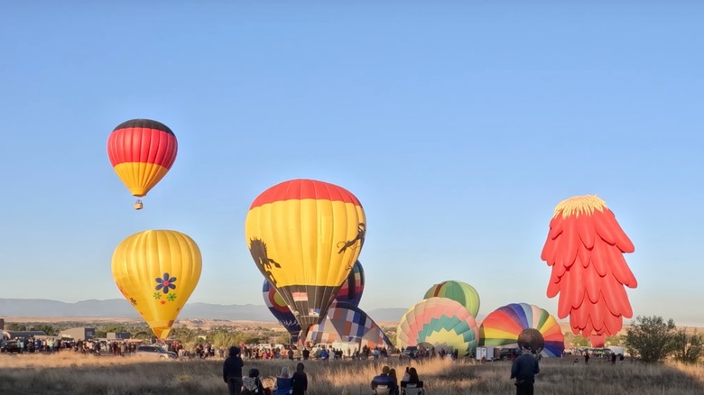 Balloons at the Chile & Frijoles Fest in Pueblo, Colorado