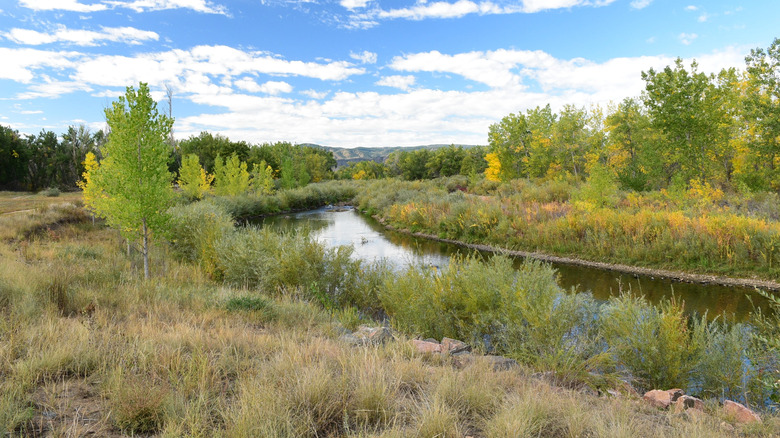 A view of South Platte Park and Carson Nature Center