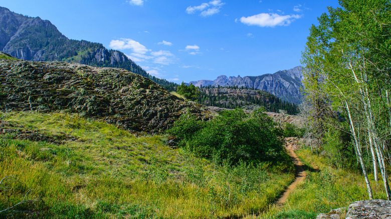 Mountains rise in the distance along the hiker's path of the Perimeter Trail in Ouray Colorado