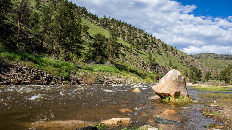 River rapids on the Big Thompson River near Estes Park, Colorado