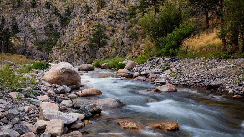 The Big Thompson River in Viestenz-Smith Mountain Park in Colorado
