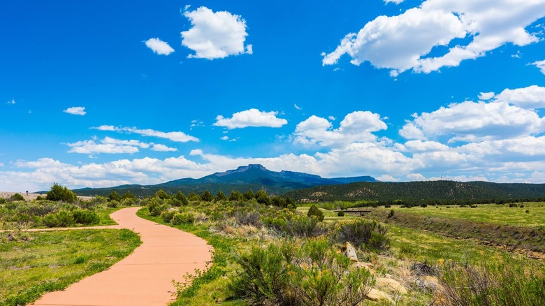 A meandering paved path among shrubs and grasses with blue skies, clouds, and a mountain in the background