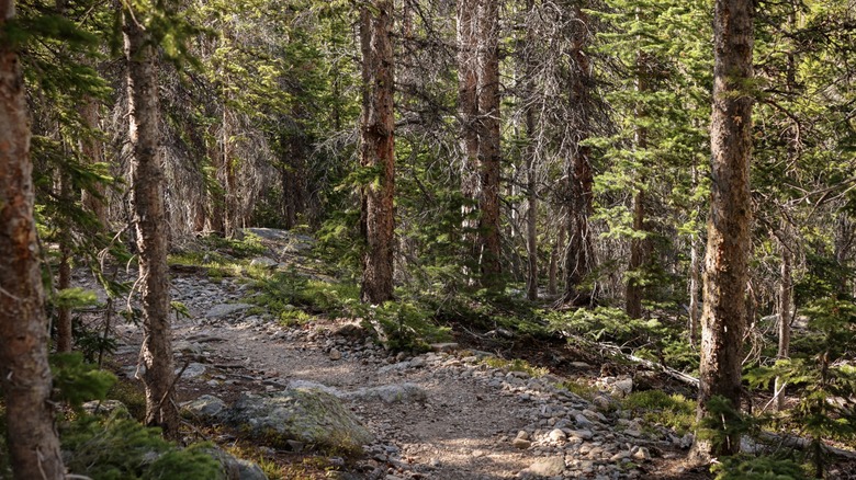 The rocky Ypsilon Lake Trail in Rocky Mountain National Park, Colorado