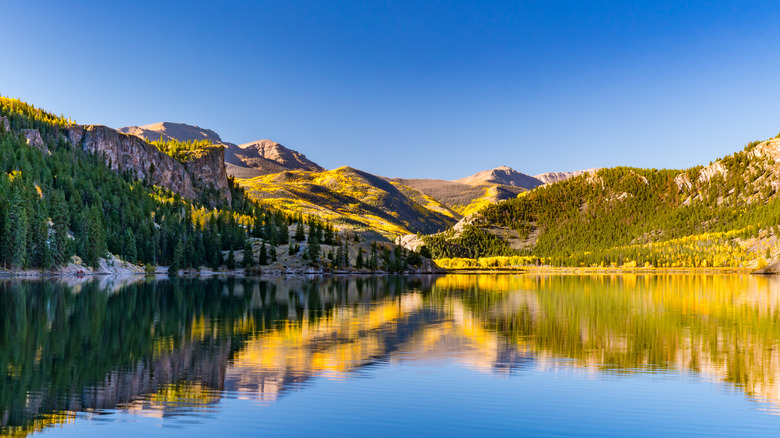 View of Lake San Cristobal, Colorado with trees and mountains.