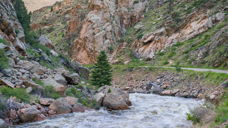 River flowing in Cache la Poudre River Canyon in Colorado