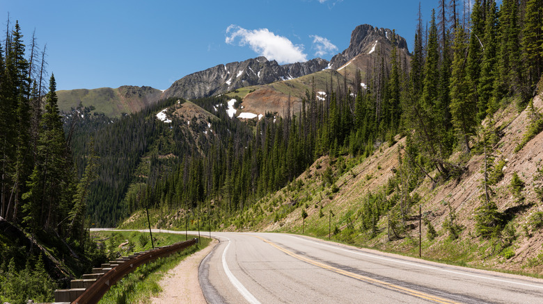 Road winding along Cache la Poudre-North Park Scenic and Historic Byway in Colorado