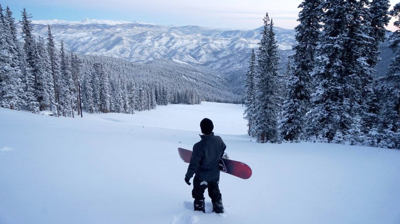 Snowboarder stands atop run on Echo Mountain with snowboard in hand