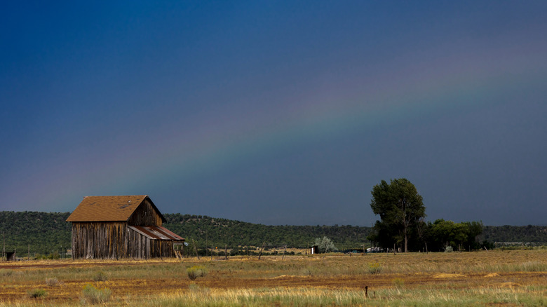 Old wooden barn with rainbow behind it Norwood Colorado