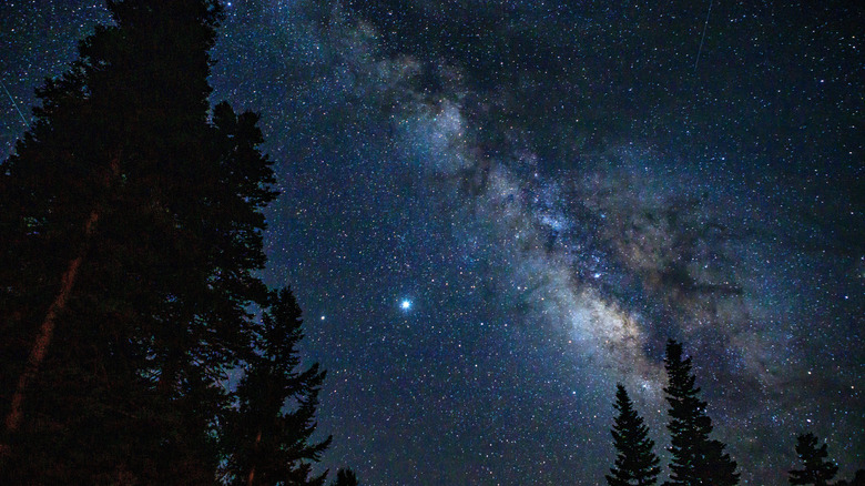 Milky way above trees in San Juan Mountains Colorado