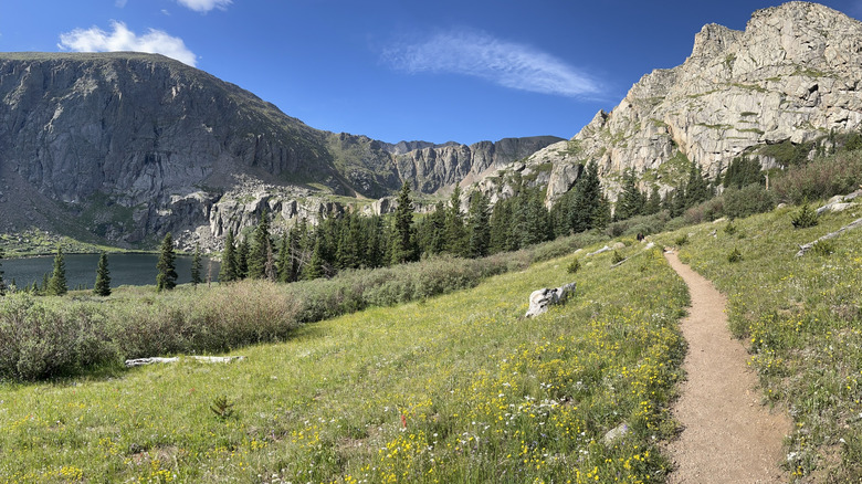 High-altitude trail near Idaho Springs with wildflowers