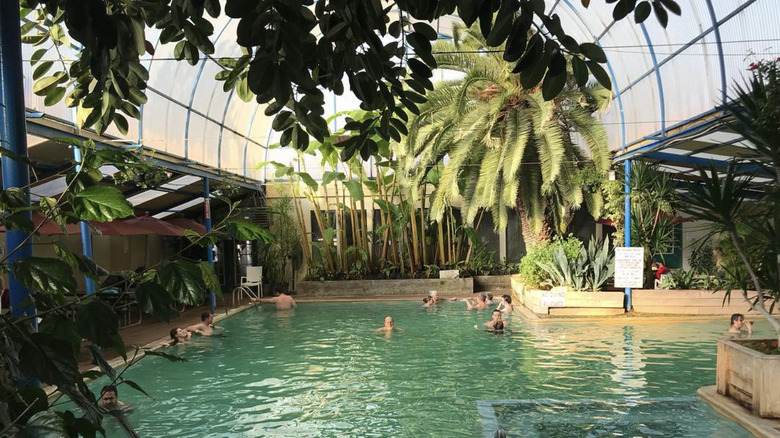 People in the greenhouse of the Indian Hot Springs