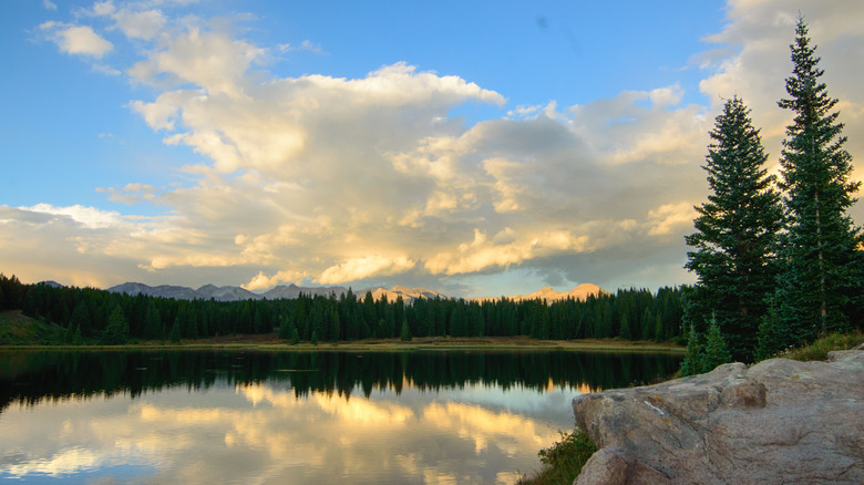 Jackson Lake in the afternoon with green trees along its shoreline