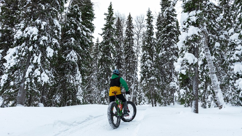 A young person on a fat tire bike trail in the winter surrounded by snowy trees