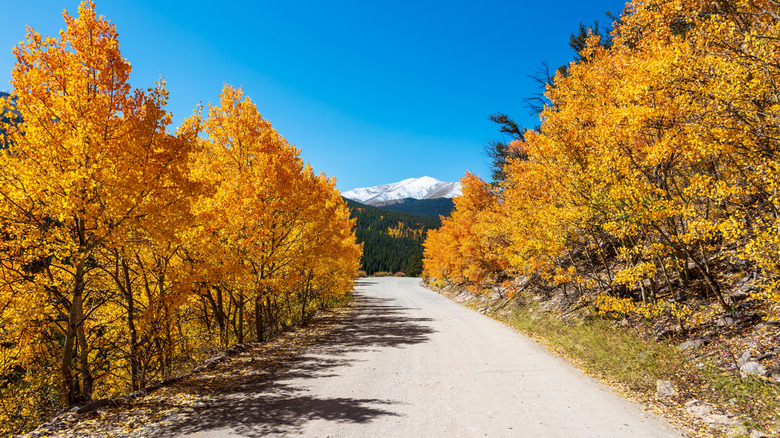 Colorado mountain road trip