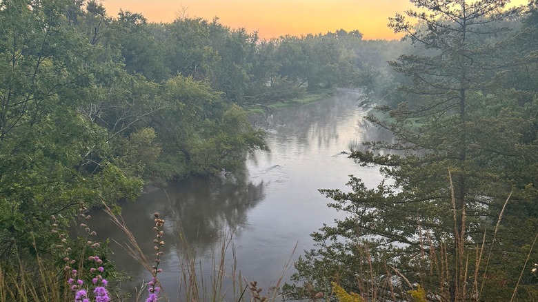 The Sugar River cuts through the green forests of the Colored Sands Forest Preserve.