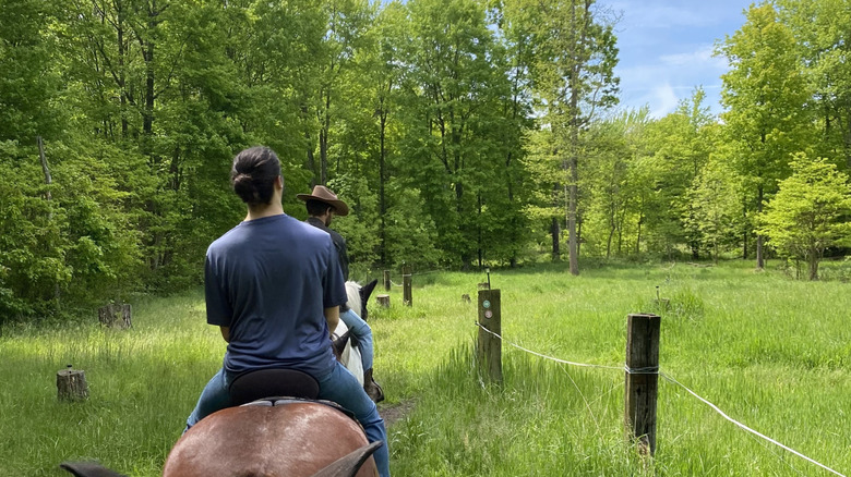 Horses don green, pink, red, and yellow lights that tint the forest in neon colors during a night glow horseback ride experience in Allegan, Michigan.