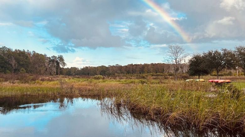 Florida's Colt Creek State Park