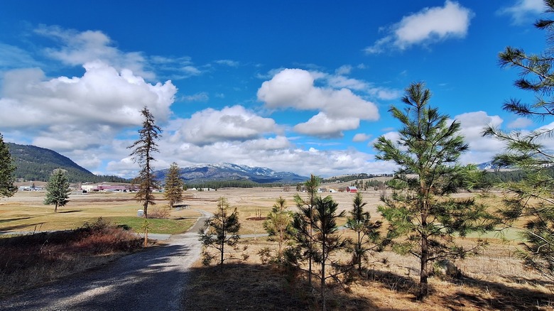 A bright view from the Rotary Dominion Meadows Trail in Colville