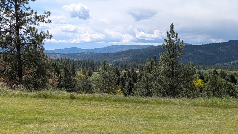 A view of the mountains from the Elks Lodge and Golf Course in Colville