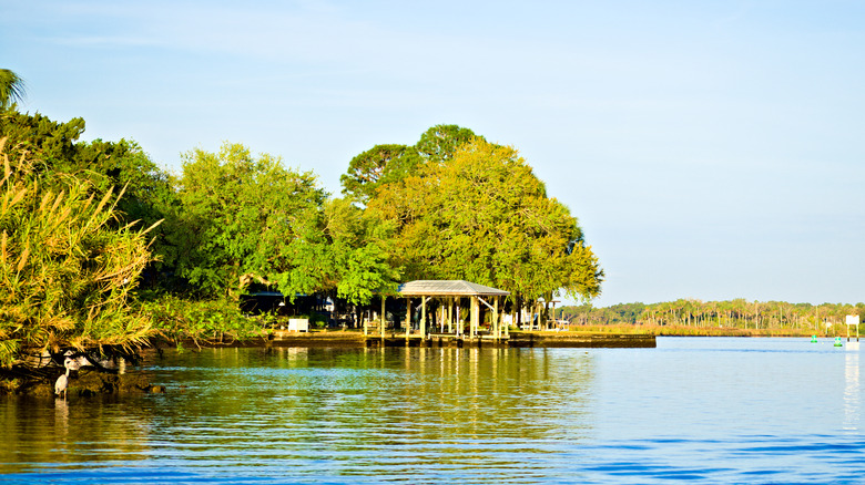 Homosassa Beach 