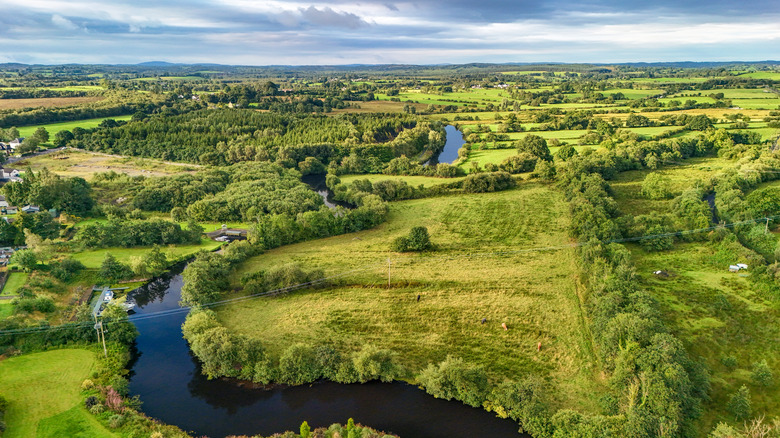 Aerial drone view of Shannon river and countryside rural Irish summer landscape, county Offaly, Ireland