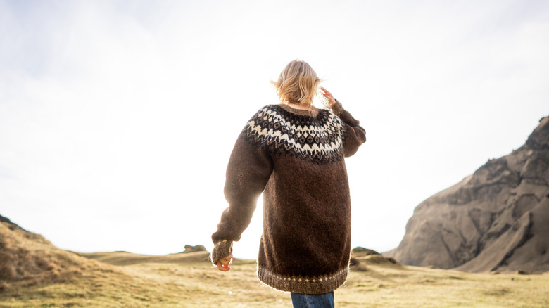 Back of a woman wearing an Icelandic wool sweater in Iceland