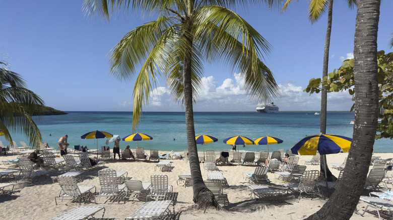 Beachside resort with palm trees and seating